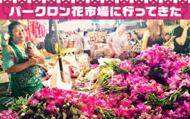 タイ最大の花市場「パークローン市場」に行ってきた